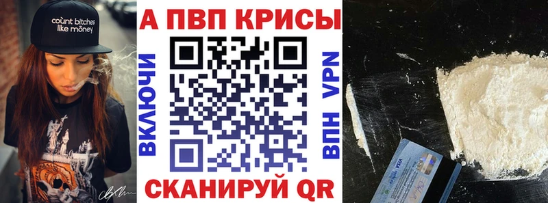 Альфа ПВП СК КРИС  Гусев 