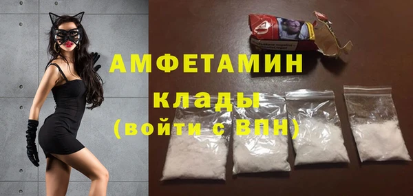 шишки Белоозёрский