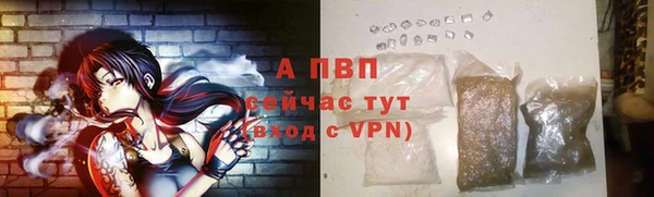 шишки Белоозёрский