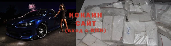 шишки Белоозёрский