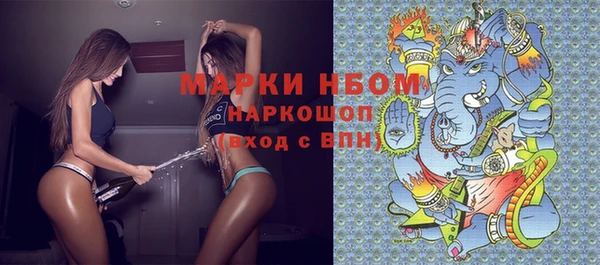 шишки Белоозёрский