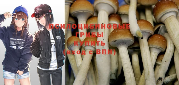 прущий лед Беломорск