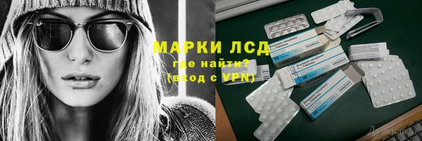 шишки Белоозёрский