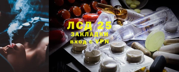 шишки Белоозёрский