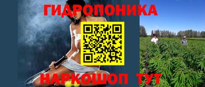 шишки Балахна