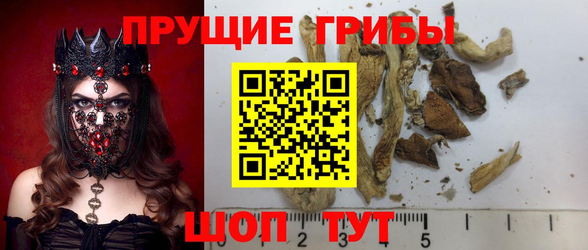 Галлюциногенные грибы мухоморы Гусев