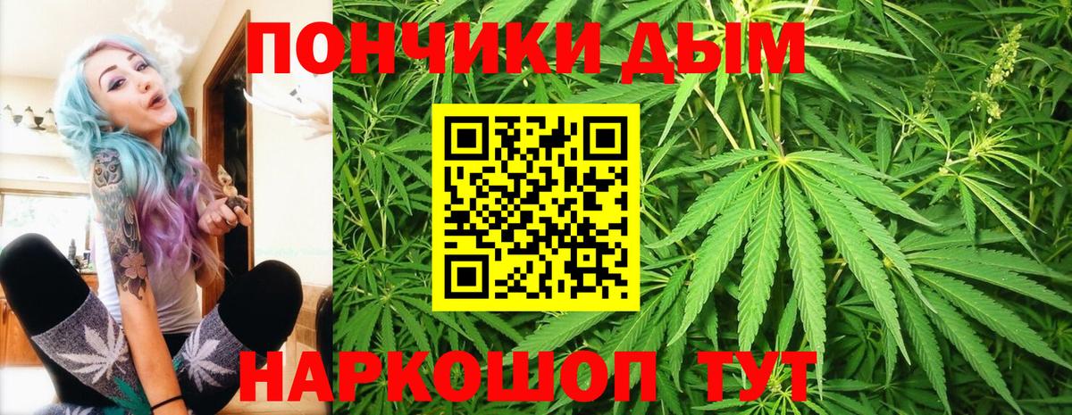 Гусев  Каннабис семена  Канабис сатива  Канабис ГИДРОПОН  Вход с VPN 