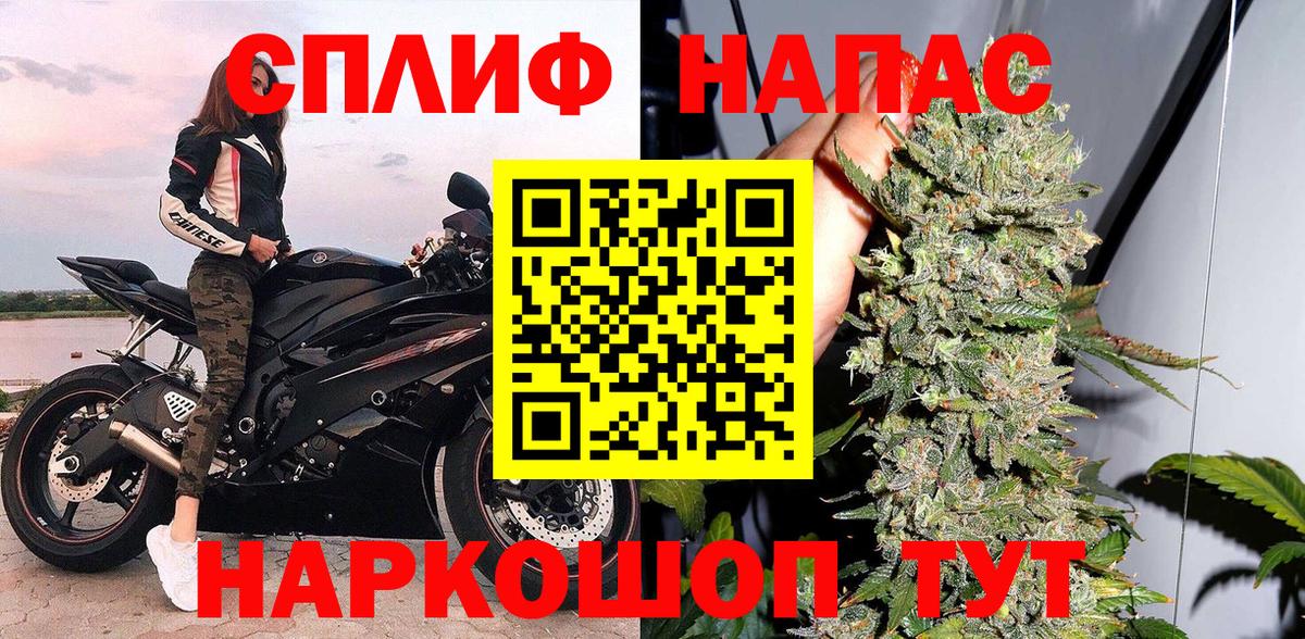 Бошки Шишки ГИДРОПОН Гусев